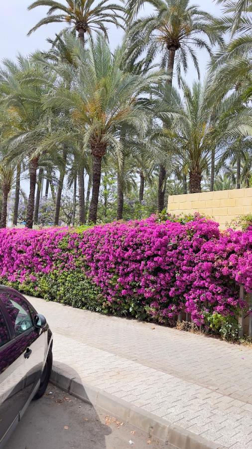 Прекрасная Квартира В Центре Города Санта Пола سانتا بولا المظهر الخارجي الصورة